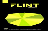 Flint 2012