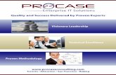 Procase Consulting Brochure