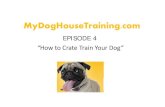A comfortable crate ensures good Dog House Training