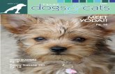 May 2011 issue of Texas Dogs & Cats Magazine