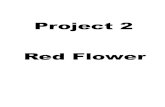 Project 2 - Red Flower