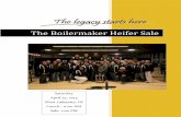 Boilermaker Heifer Sale