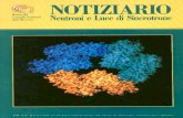 NOTIZIARIO Neutroni e Luce di Sincrotrone - Issue 3 n.2, 1998