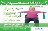 Chair Based Exercises at Meadows