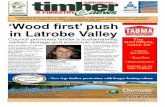 Timber & Forestry E News Issue 304