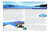 Lake George Association January 2014 Newsletter