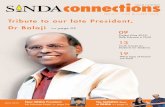 SINDA Connections - Nov 2010