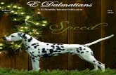 E Dalmatians Dec 2013 Edition