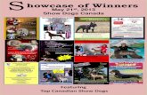 Showcase of Winner May 21 2013