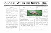 Global Wildlife Fall Newsletter