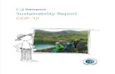 Siteimprove csr report 2012