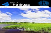The Buzz: June 2013