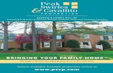 Peak Swirles & Cavallito Volume 1 Issue 4B