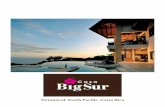 Casa Big Sur -Presentation 1st draft