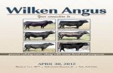 Wilken Angus 2012 Catalog