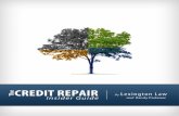 The Credit Repair Insider Guide
