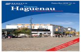 Project flyer France Haguenau_vertical_8-11-10