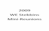 Stebbins Mini-Reunions
