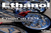 November 2008 Ethanol Producer Magazine