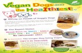 Vegan Dogs Are Healthiest