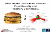What are the ineractions between food security and planetary boundaries