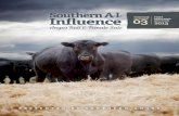 Southern Influence Angus Bull & Female Sale