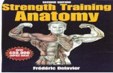 strength Trainning Anatomy