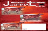 Milking Shorthorn Journal Winter 2013