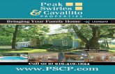 Peak Swirles & Cavallito Properties v5n2B