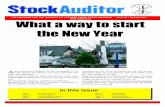 Stock Auditor 2003 Annual