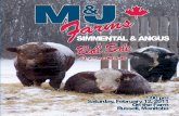 M&J Farms Bull Sale 2011