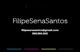 Filipe Sena Santos Portfolio