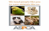 ASPCA Brochure