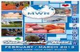 Experience Family & MWR February 2013