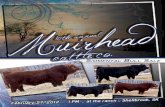 2012 Muirhead Bull Sale