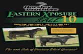 HB Eastern Exposure Sale