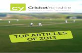 Cricket Yorkshire Best of 2013