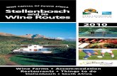 Stellenbosch and its Wine Routes 2010