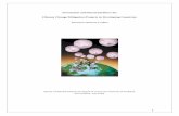 Investment and Financial Flows for Climate Change Mitigation Projects in Developing Countries 2010