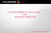 Custom Website Solutions for Business Websites