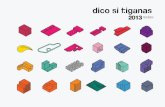 review 2013 Dico si Tiganas
