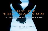 Out of the Canyon, by Art and Allison Daily - Excerpt