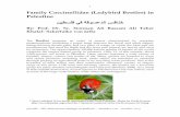 Family Coccinellidae (Ladybird Beetles) in Palestine