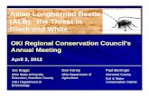 Asian Longhorned Beetle: The Threat in Black and White