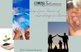 RCAP Solutions 2013 Annual Report