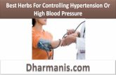 Best Herbs For Controlling Hypertension Or High Blood Pressure