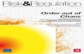 Risk and Regulation Summer 2007