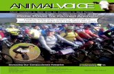 Animal Voice - September 2013
