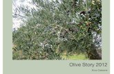 Olive Story 2012