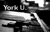 York U.: A Personal Look